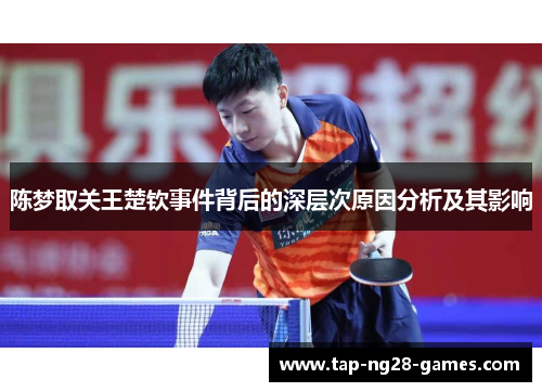 陈梦取关王楚钦事件背后的深层次原因分析及其影响