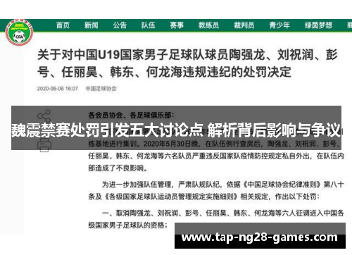 魏震禁赛处罚引发五大讨论点 解析背后影响与争议