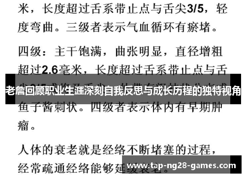 老詹回顾职业生涯深刻自我反思与成长历程的独特视角