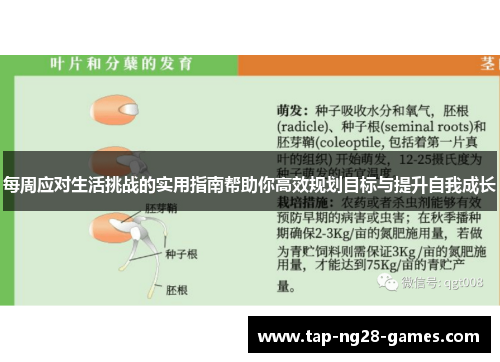 每周应对生活挑战的实用指南帮助你高效规划目标与提升自我成长