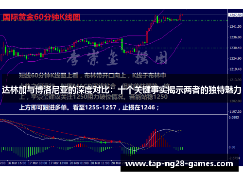 达林加与博洛尼亚的深度对比：十个关键事实揭示两者的独特魅力
